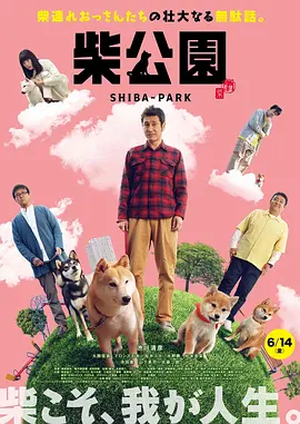 免费观看mv的网站