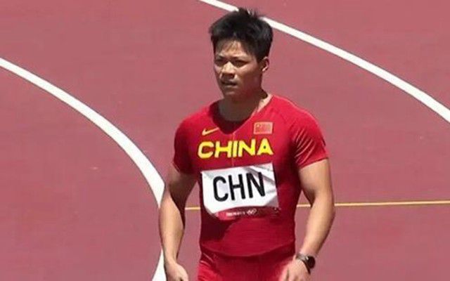 免费的网站