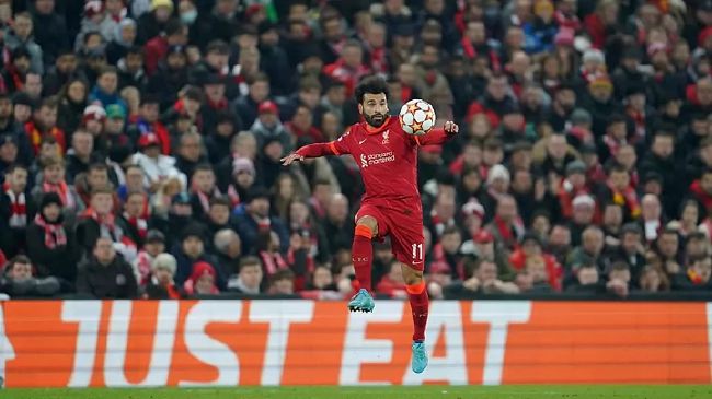 国产精品久线观看视频