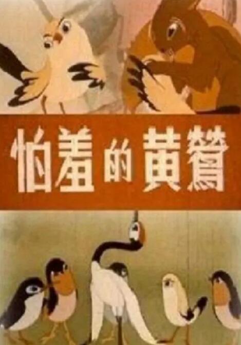 免费观看高清视频ww