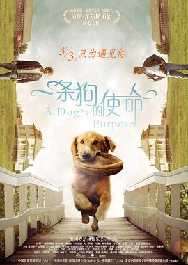天天久久