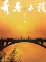 久久国内精品