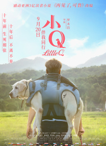 动乱的年代