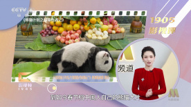 五月天婷婷视频在线观看
